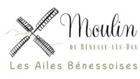 Logo AilesBenessoises.jpg